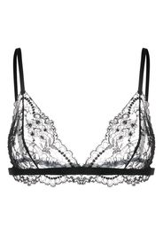 Dolce & Gabbana Chantilly-lace triangle bra - Nero