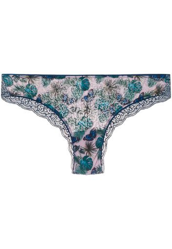 butterfly brazilian briefs