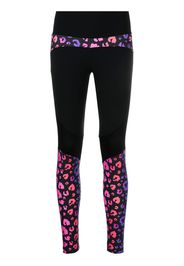 Ea7 Emporio Armani Leggings leopardati - Nero