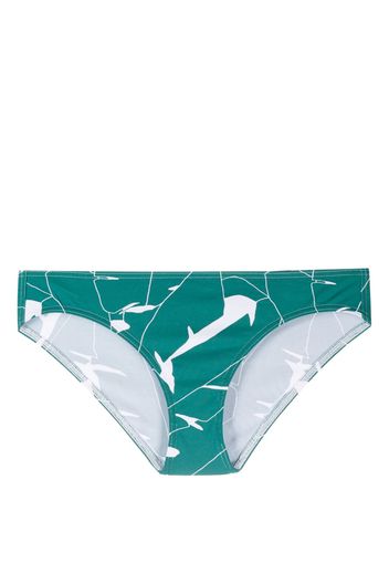 ERES Slip bikini con stampa Scarlett - Verde