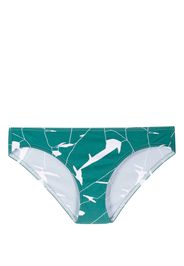 ERES Slip bikini con stampa Scarlett - Verde