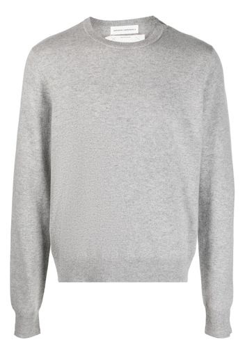 extreme cashmere n36 long-sleeved knitted jumper - Grigio