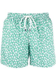 Fedeli Costume da bagno con stampa - Verde