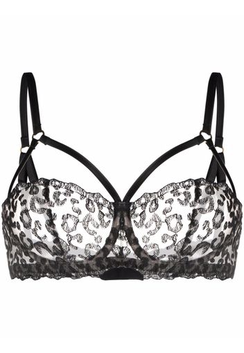 Fleur Of England Kittie caged-strap balcony bra - Nero