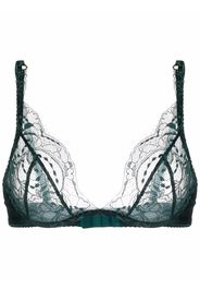 Fleur Of England Ela lace-trim plunge bra - Verde