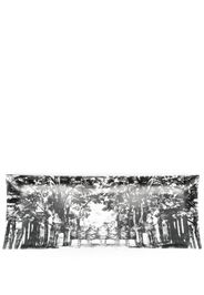 Fornasetti Giardino Settecentesco tray - Nero