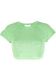 Genny open-knit cropped top - Verde