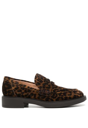 Gianvito Rossi leopard-print leather loafers - Marrone