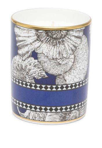 GINORI 1735 shell print candle - Blu