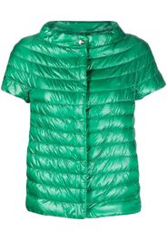 Herno Margherita short-sleeved puffer jacket - Verde