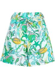 Kate Spade submarine-print cotton-blend shorts - Blu