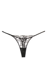 Kiki de Montparnasse sheer lace-detail cotton thong - Nero