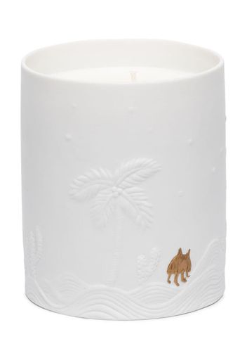 haas mojave palm candle