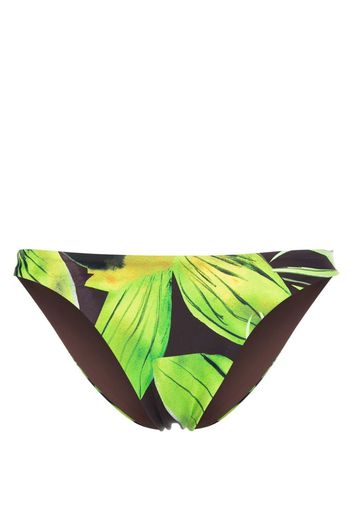 Louisa Ballou leaf-print bikini bottoms - Verde