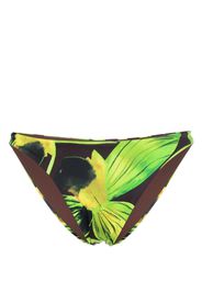 Louisa Ballou graphic-print bikini bottom - Marrone