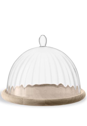 Aurelia glass dome and oak base