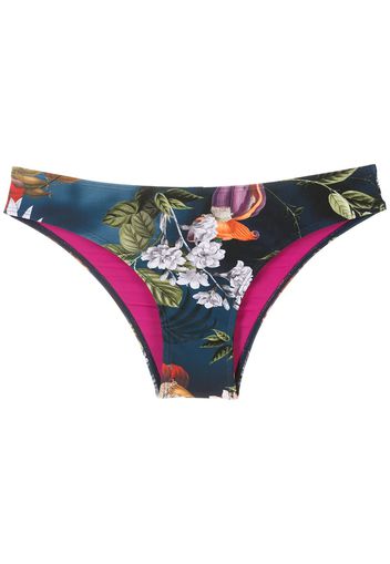 Lygia & Nanny Slip bikini con stampa Waikiki - Blu