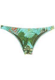 Lygia & Nanny Slip bikini Poipu con stampa tropicale - Verde