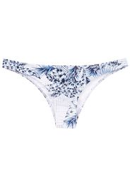 Lygia & Nanny Slip bikini con stampa Palm Tree - Blu