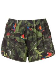 Lygia & Nanny Shorts Lee con stampa - Verde