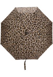 Teddy Bear print umbrella