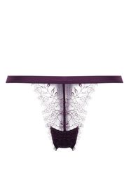 Maison Close semi-sheer lace thong - Viola