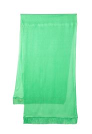 Maria Lucia Hohan fringed silk scarf - Verde