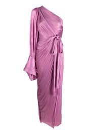 Maria Lucia Hohan Palmer plissé-pleated gown - Rosa