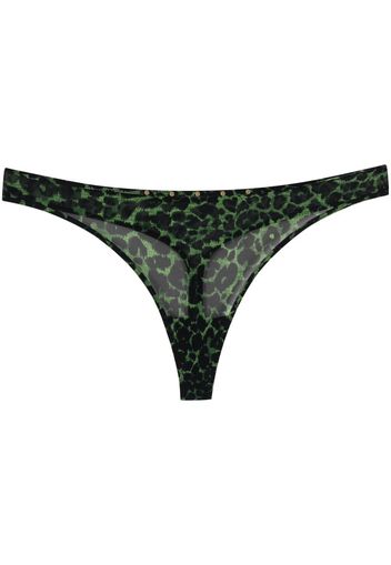 Marlies Dekkers Tanga Rhapsody con stampa - Verde