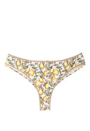 Marlies Dekkers Slip Mambo con stampa - Giallo