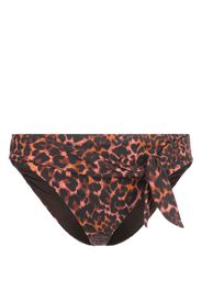 Marlies Dekkers Slip bikini Jungle diva - Marrone