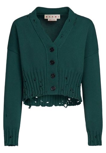 Marni Cardigan con scollo a V - Verde