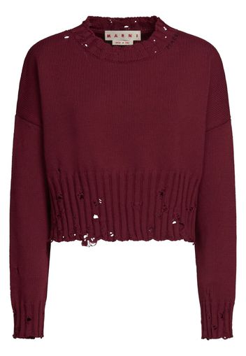 Marni Maglione crop con effetto vissuto - Rosso