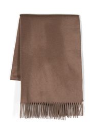 Max Mara logo-embroidered cashmere scarf - Marrone