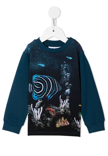 Molo botanical-print cotton sweatshirt - Blu