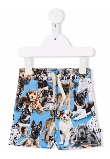 Molo all-over dog-print shorts - Blu