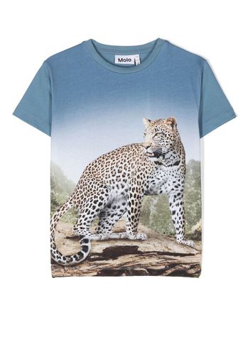 Molo leopard-print cotton T-Shirt - Blu