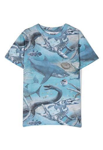 Molo graphic-print cotton t-shirt - Blu