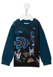 Molo botanical-print cotton sweatshirt - Blu