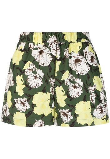 MSGM floral-print cotton shorts - Verde