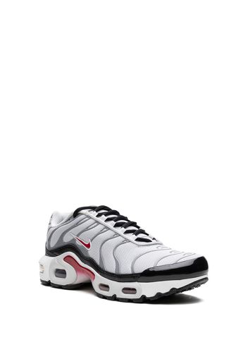 Nike Kids Air Max Plus Sneakers - Grigio