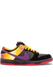 SB Dunk Low Pro sneakers