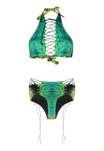 Noire Swimwear Bikini con stampa serpente - Verde