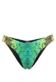 Noire Swimwear Slip bikini con stampa serpente - Verde