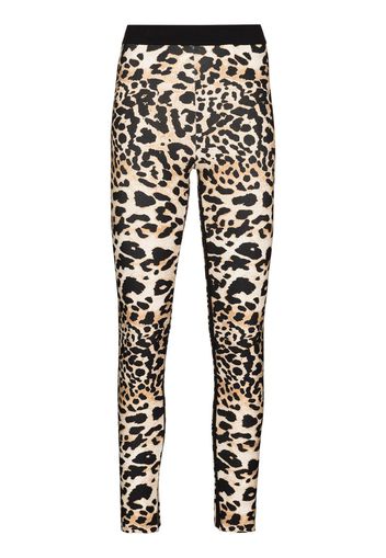 leopard print performance leggings