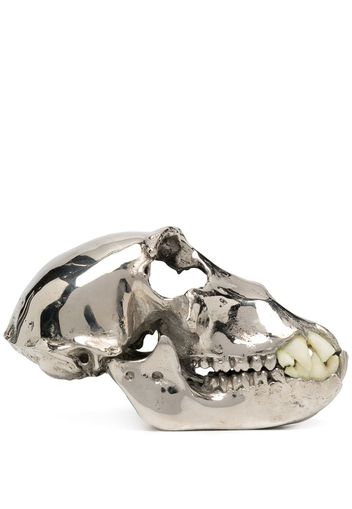 replica monkey skull