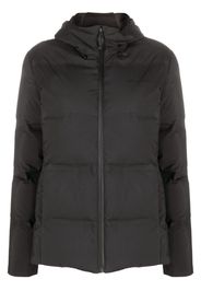 Patagonia zip-up padded jacket - Nero