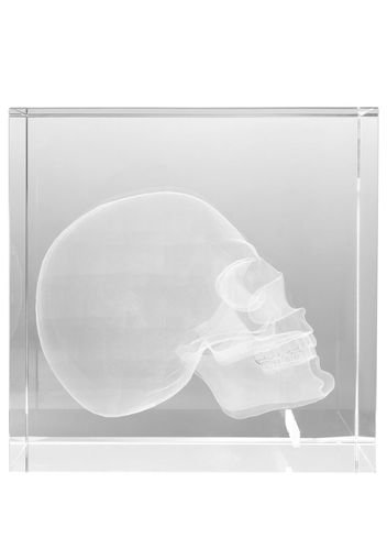 Philipp Plein skull-embellished transparent object - Toni neutri