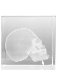 Philipp Plein skull-embellished transparent object - Toni neutri