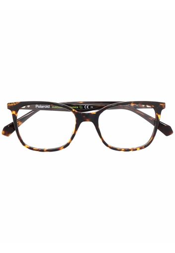 Polaroid tortoise-shell square frames - Marrone